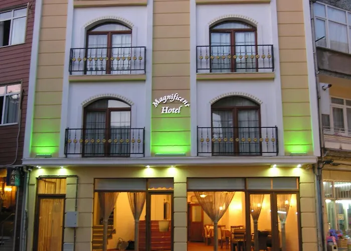 Magnificent Hotel